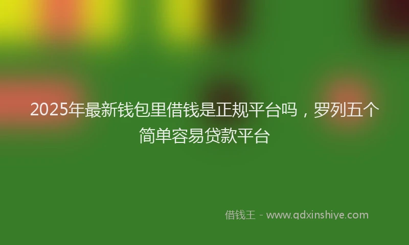 2025年最新钱包里借钱是正规平台吗，罗列五个简单容易贷款平台
