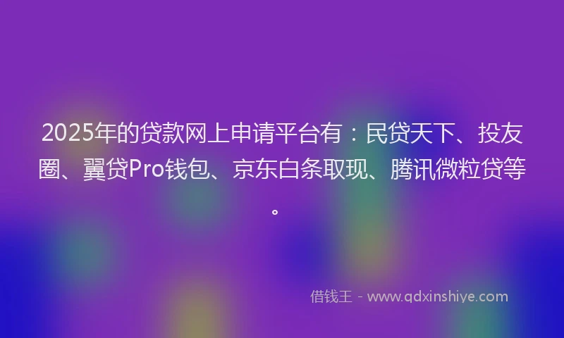 2025年的贷款网上申请平台有：民贷天下、投友圈、翼贷Pro钱包、京东白条取现、腾讯微粒贷等。