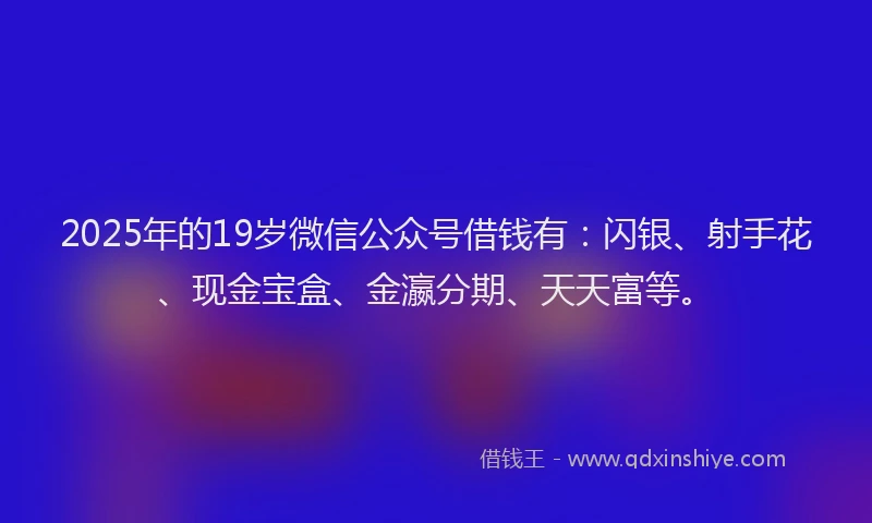 2025年的19岁微信公众号借钱有：闪银、射手花、现金宝盒、金瀛分期、天天富等。