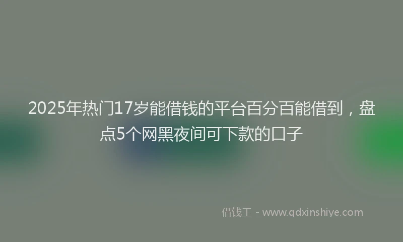 2025年热门17岁能借钱的平台百分百能借到，盘点5个网黑夜间可下款的口子