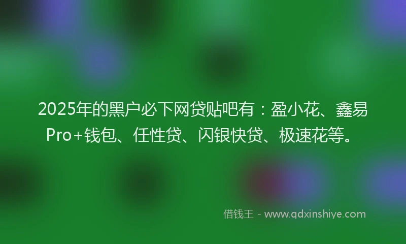 2025年的黑户必下网贷贴吧有：盈小花、鑫易Pro+钱包、任性贷、闪银快贷、极速花等。