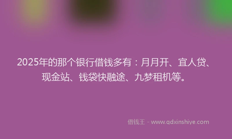 2025年的那个银行借钱多有：月月开、宜人贷、现金站、钱袋快融途、九梦租机等。