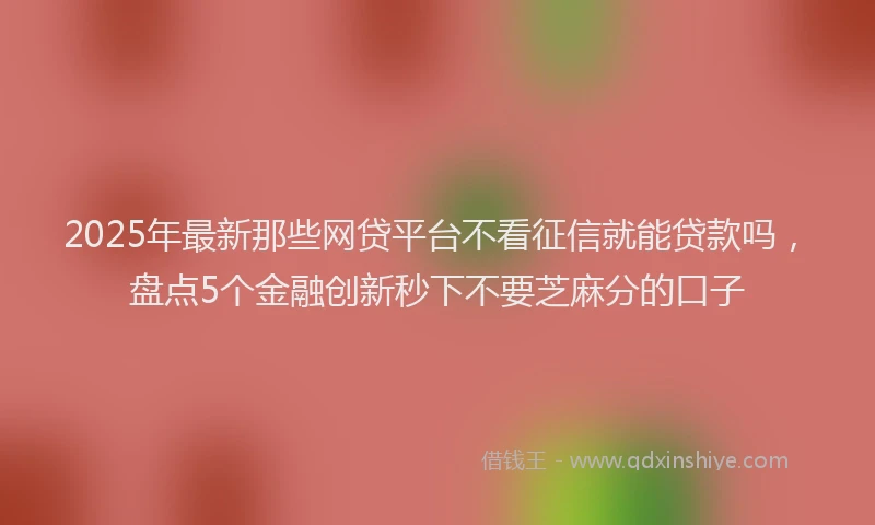 2025年最新那些网贷平台不看征信就能贷款吗，盘点5个金融创新秒下不要芝麻分的口子