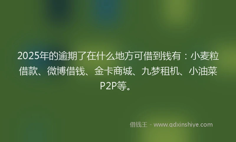 2025年的逾期了在什么地方可借到钱有：小麦粒借款、微博借钱、金卡商城、九梦租机、小油菜P2P等。