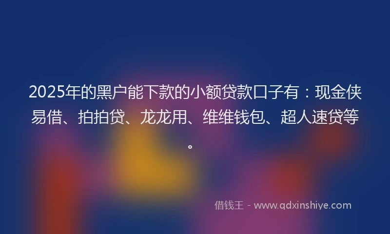 2025年的黑户能下款的小额贷款口子有：现金侠易借、拍拍贷、龙龙用、维维钱包、超人速贷等。