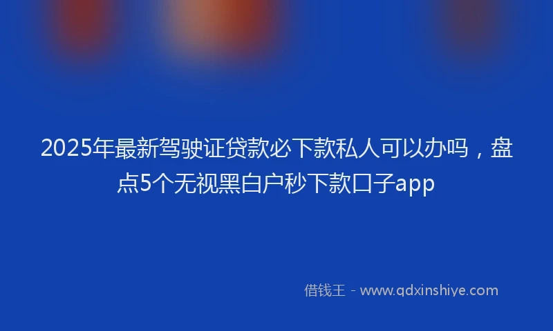 2025年最新驾驶证贷款必下款私人可以办吗，盘点5个无视黑白户秒下款口子app
