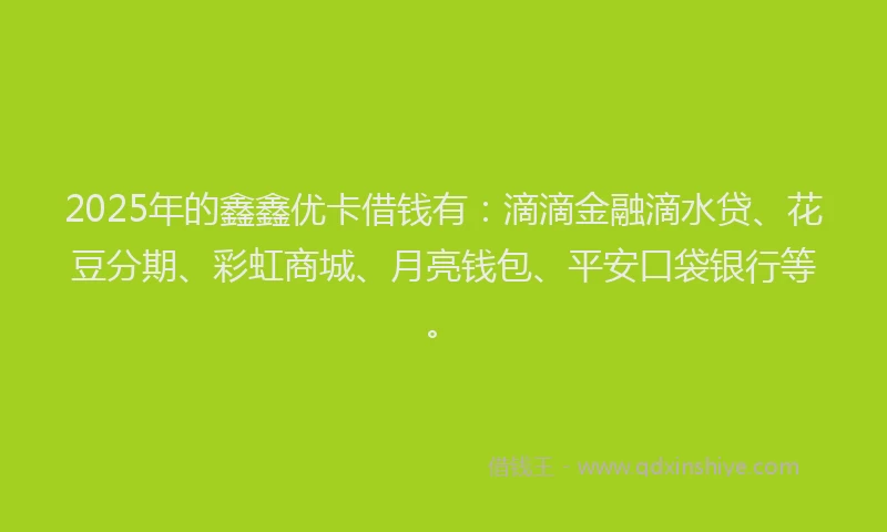 2025年的鑫鑫优卡借钱有：滴滴金融滴水贷、花豆分期、彩虹商城、月亮钱包、平安口袋银行等。