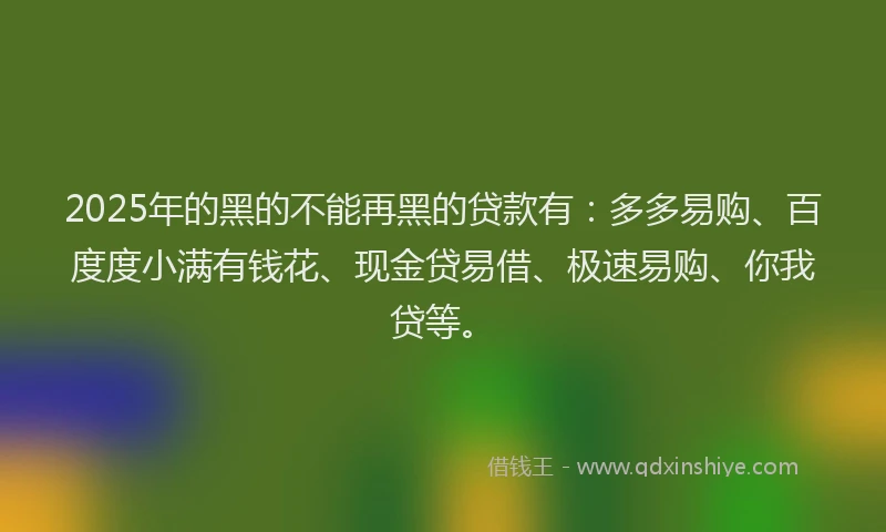 2025年的黑的不能再黑的贷款有：多多易购、百度度小满有钱花、现金贷易借、极速易购、你我贷等。