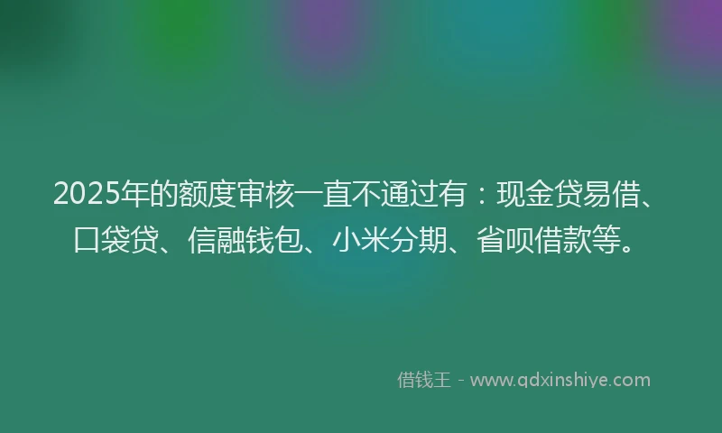 2025年的额度审核一直不通过有：现金贷易借、口袋贷、信融钱包、小米分期、省呗借款等。