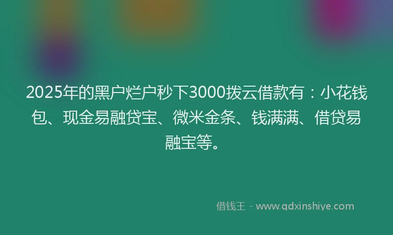 2025年的黑户烂户秒下3000拨云借款有：小花钱包、现金易融贷宝、微米金条、钱满满、借贷易融宝等。