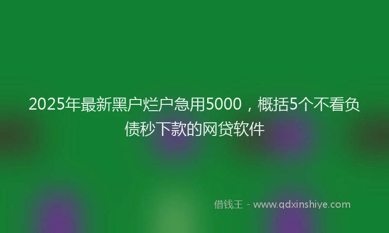 2025年最新黑户烂户急用5000，概括5个不看负债秒下款的网贷软件