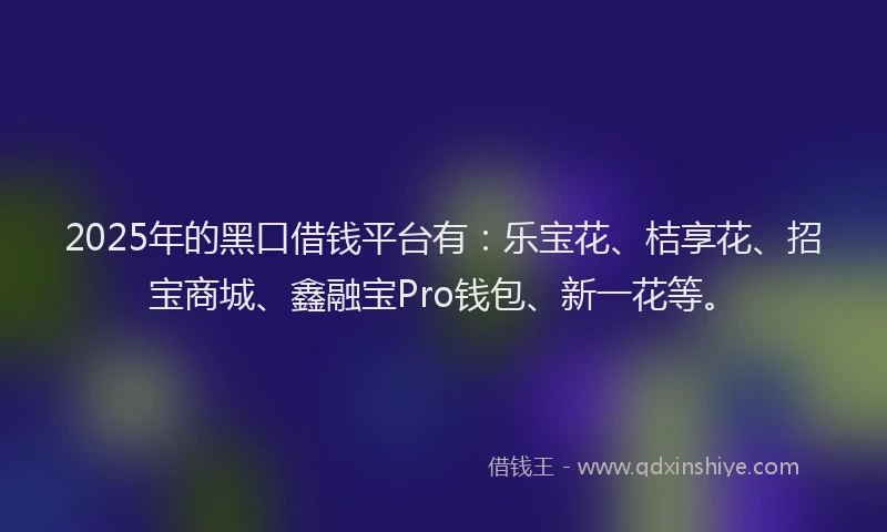 2025年的黑口借钱平台有：乐宝花、桔享花、招宝商城、鑫融宝Pro钱包、新一花等。
