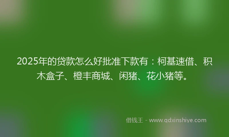 2025年的贷款怎么好批准下款有：柯基速借、积木盒子、橙丰商城、闲猪、花小猪等。