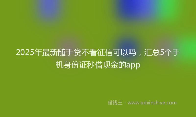 2025年最新随手贷不看征信可以吗，汇总5个手机身份证秒借现金的app