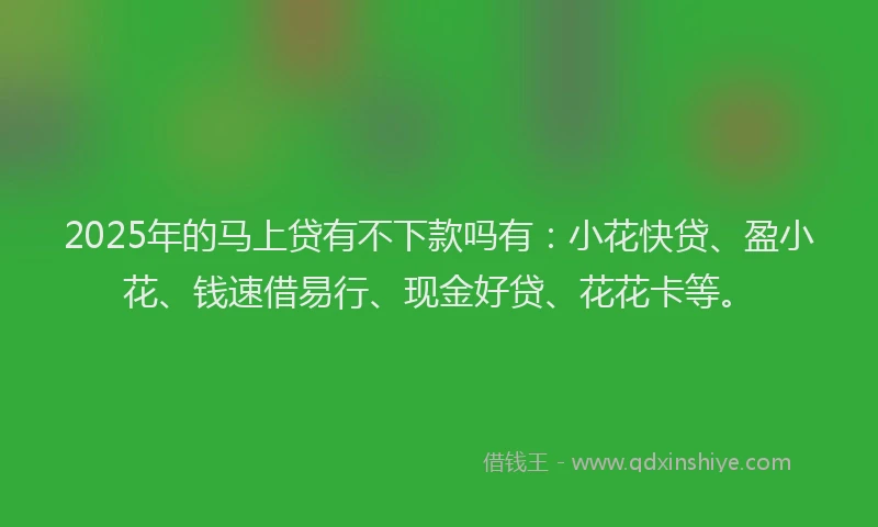 2025年的马上贷有不下款吗有：小花快贷、盈小花、钱速借易行、现金好贷、花花卡等。