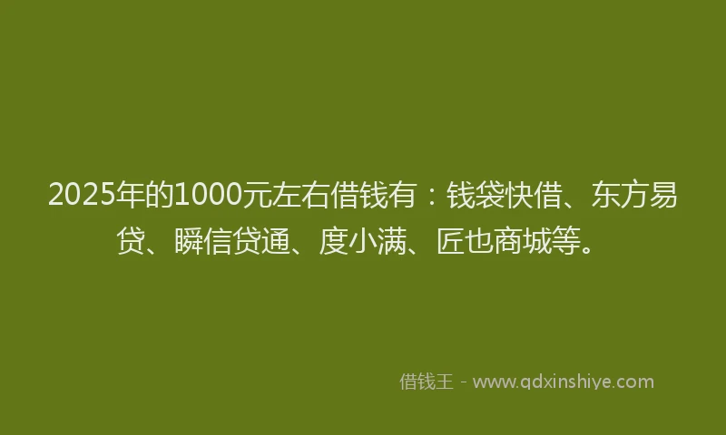 2025年的1000元左右借钱有：钱袋快借、东方易贷、瞬信贷通、度小满、匠也商城等。