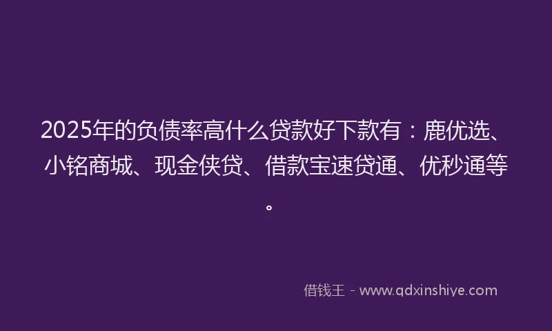 2025年的负债率高什么贷款好下款有：鹿优选、小铭商城、现金侠贷、借款宝速贷通、优秒通等。