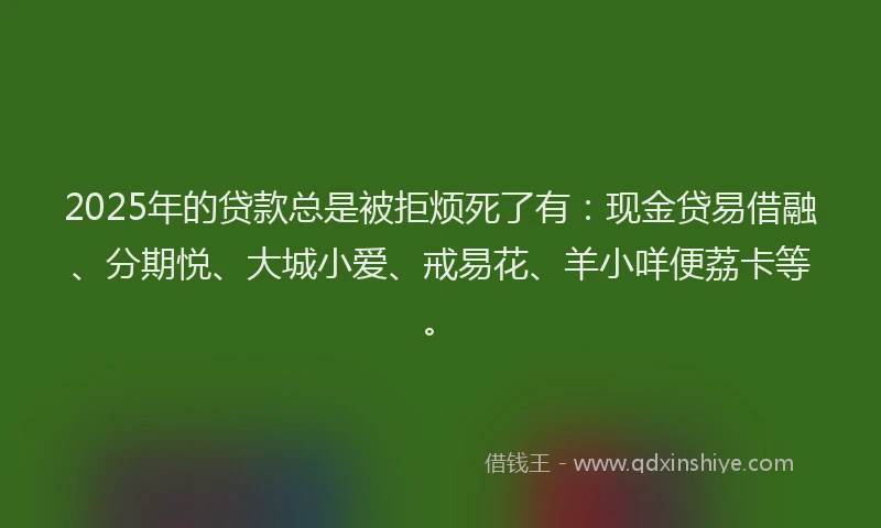 2025年的贷款总是被拒烦死了有：现金贷易借融、分期悦、大城小爱、戒易花、羊小咩便荔卡等。