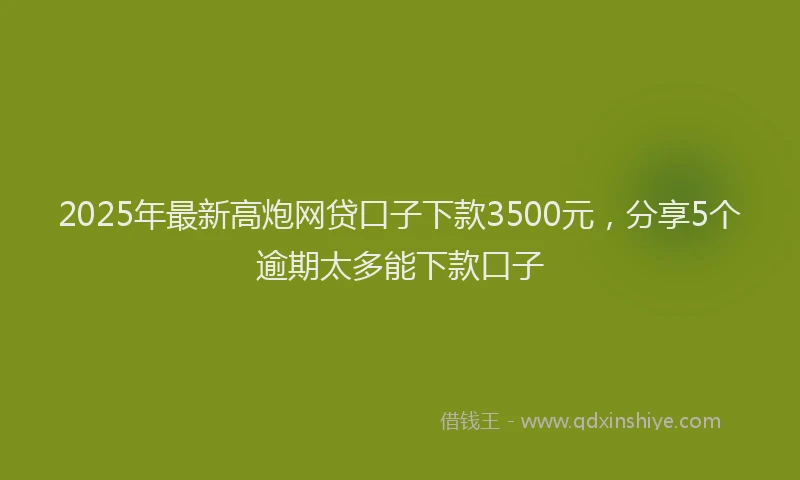 2025年最新高炮网贷口子下款3500元，分享5个逾期太多能下款口子