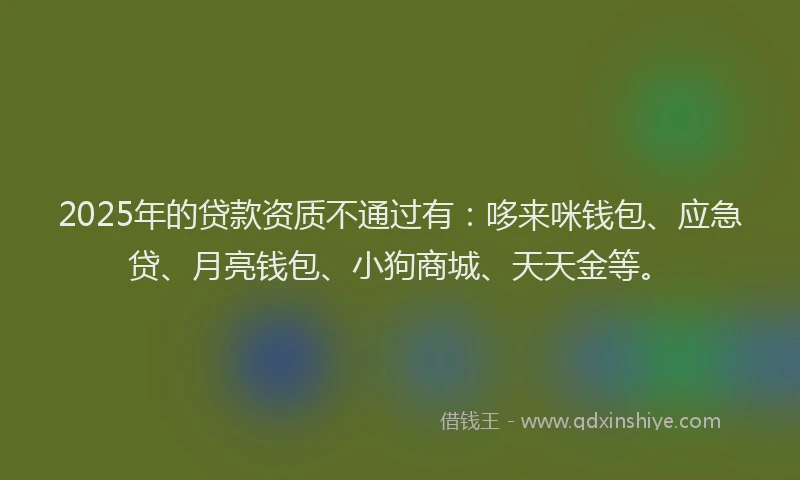 2025年的贷款资质不通过有：哆来咪钱包、应急贷、月亮钱包、小狗商城、天天金等。