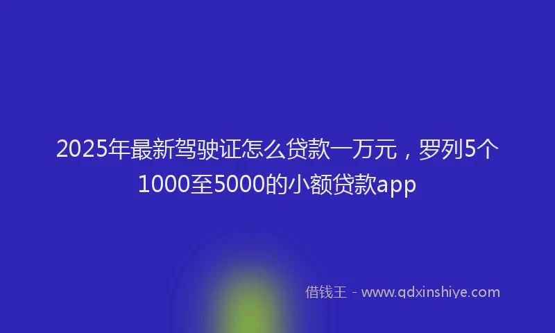 2025年最新驾驶证怎么贷款一万元，罗列5个1000至5000的小额贷款app