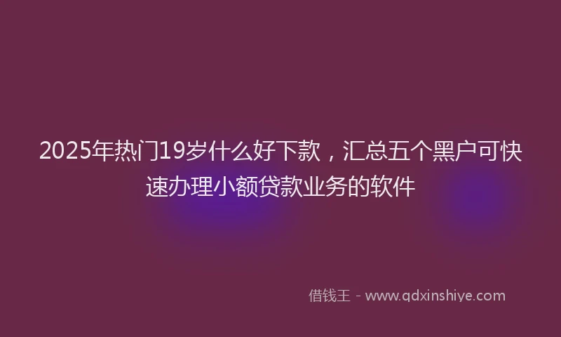 2025年热门19岁什么好下款，汇总五个黑户可快速办理小额贷款业务的软件