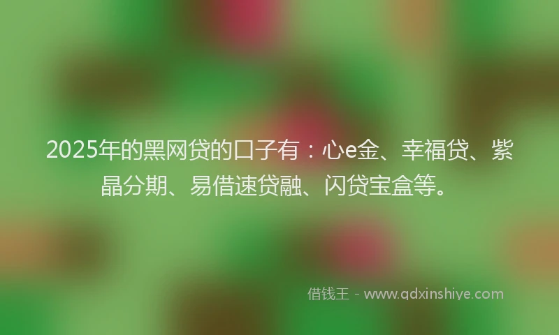 2025年的黑网贷的口子有：心e金、幸福贷、紫晶分期、易借速贷融、闪贷宝盒等。