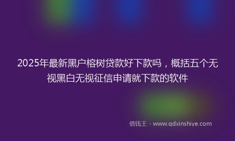 2025年最新黑户榕树贷款好下款吗，概括五个无视黑白无视征信申请就下款的软件