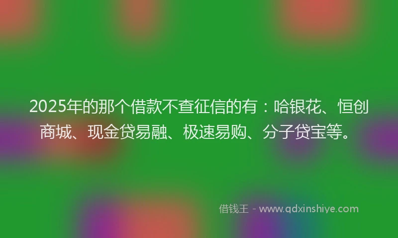 2025年的那个借款不查征信的有：哈银花、恒创商城、现金贷易融、极速易购、分子贷宝等。