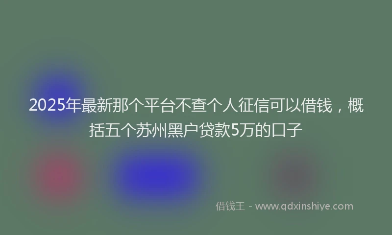 2025年最新那个平台不查个人征信可以借钱，概括五个苏州黑户贷款5万的口子