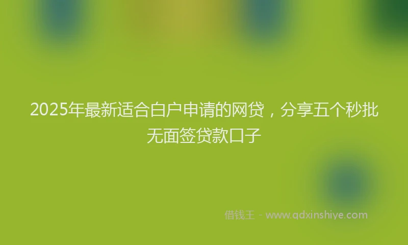 2025年最新适合白户申请的网贷，分享五个秒批无面签贷款口子