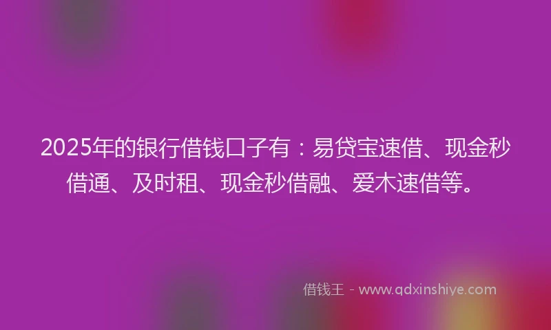 2025年的银行借钱口子有：易贷宝速借、现金秒借通、及时租、现金秒借融、爱木速借等。