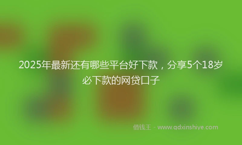 2025年最新还有哪些平台好下款，分享5个18岁必下款的网贷口子