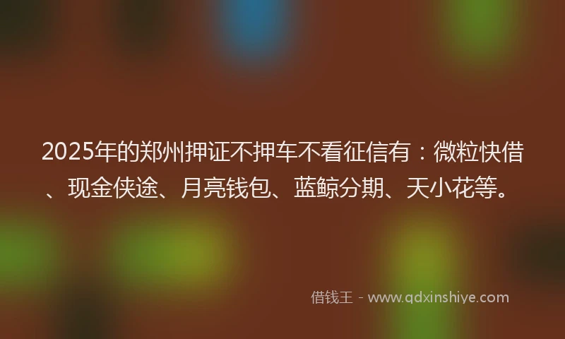 2025年的郑州押证不押车不看征信有：微粒快借、现金侠途、月亮钱包、蓝鲸分期、天小花等。