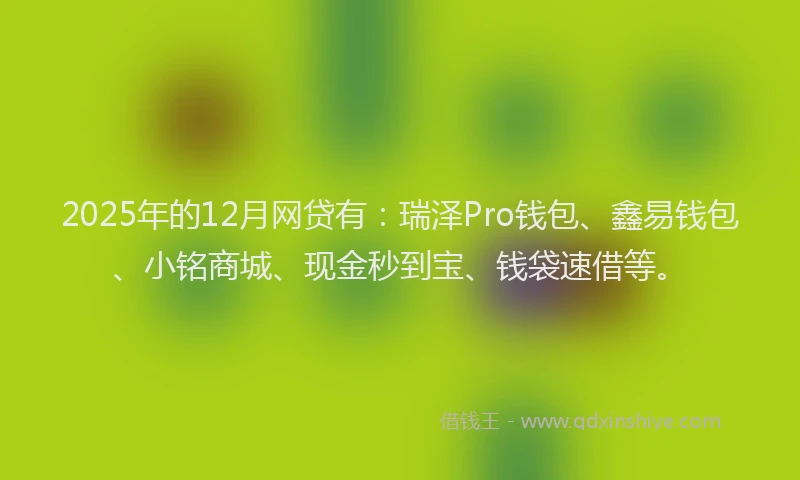 2025年的12月网贷有：瑞泽Pro钱包、鑫易钱包、小铭商城、现金秒到宝、钱袋速借等。