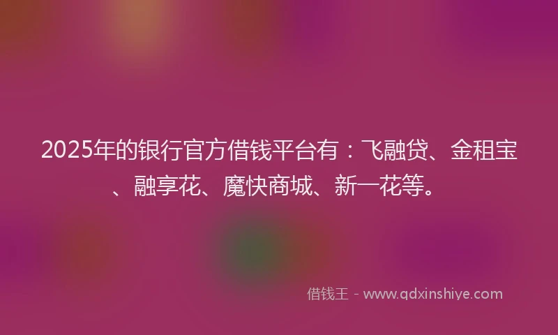 2025年的银行官方借钱平台有：飞融贷、金租宝、融享花、魔快商城、新一花等。
