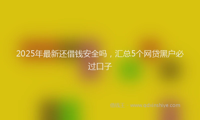 2025年最新还借钱安全吗，汇总5个网贷黑户必过口子