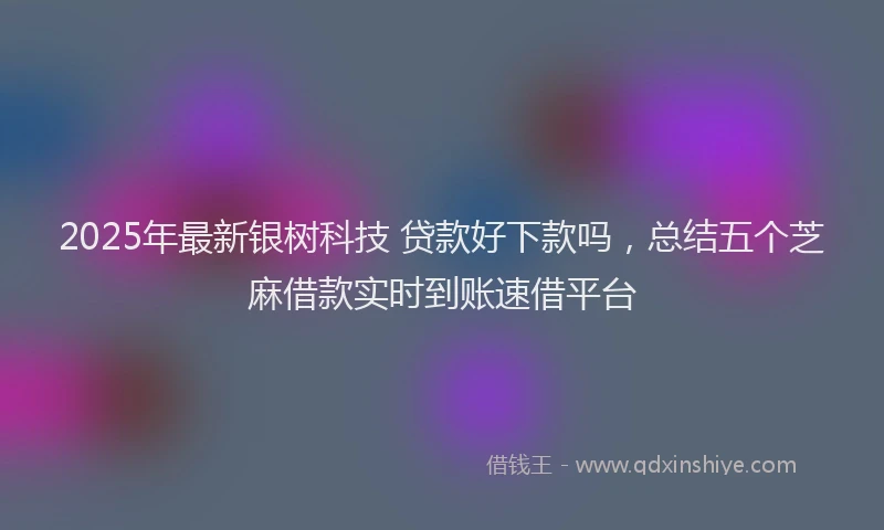 2025年最新银树科技 贷款好下款吗，总结五个芝麻借款实时到账速借平台