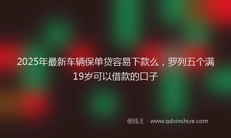 2025年最新车辆保单贷容易下款么，罗列五个满19岁可以借款的口子