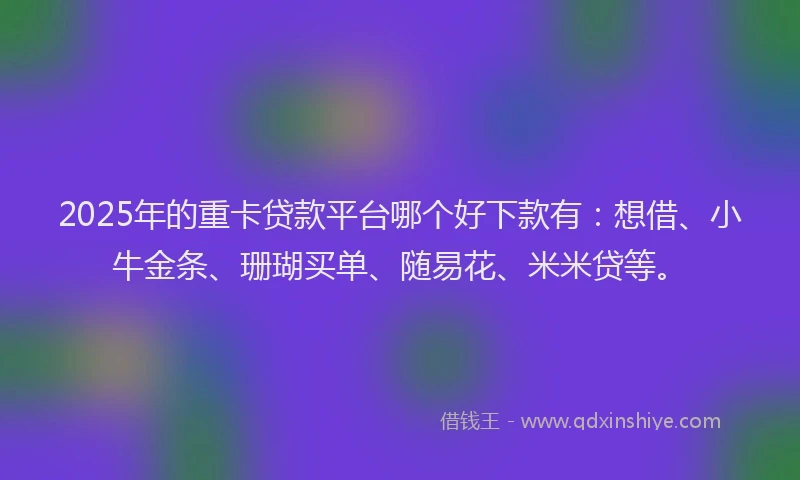 2025年的重卡贷款平台哪个好下款有：想借、小牛金条、珊瑚买单、随易花、米米贷等。
