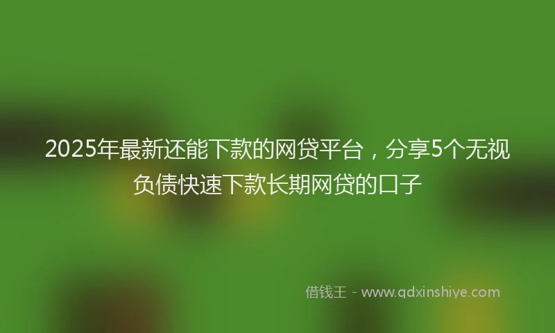 2025年最新还能下款的网贷平台，分享5个无视负债快速下款长期网贷的口子