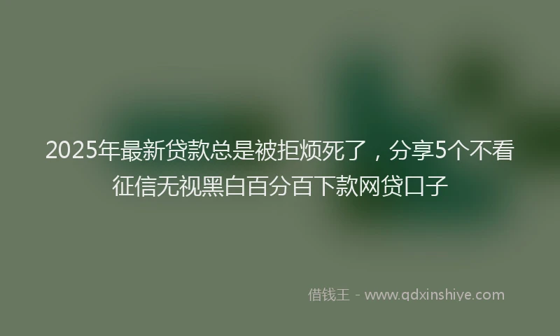 2025年最新贷款总是被拒烦死了，分享5个不看征信无视黑白百分百下款网贷口子