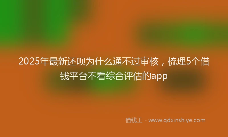 2025年最新还呗为什么通不过审核，梳理5个借钱平台不看综合评估的app