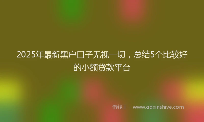 2025年最新黑户口子无视一切，总结5个比较好的小额贷款平台