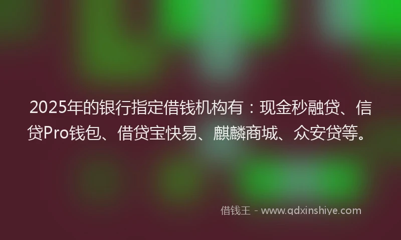 2025年的银行指定借钱机构有：现金秒融贷、信贷Pro钱包、借贷宝快易、麒麟商城、众安贷等。