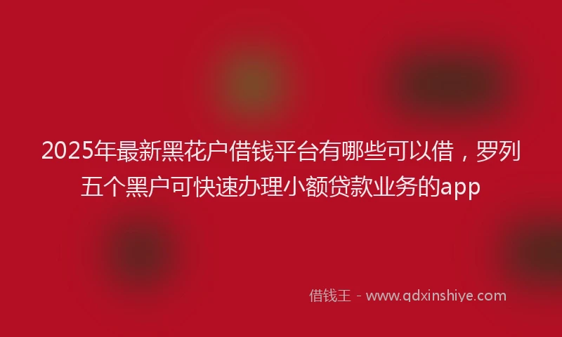 2025年最新黑花户借钱平台有哪些可以借，罗列五个黑户可快速办理小额贷款业务的app