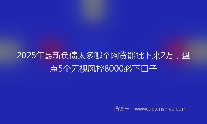 2025年最新负债太多哪个网贷能批下来2万，盘点5个无视风控8000必下口子