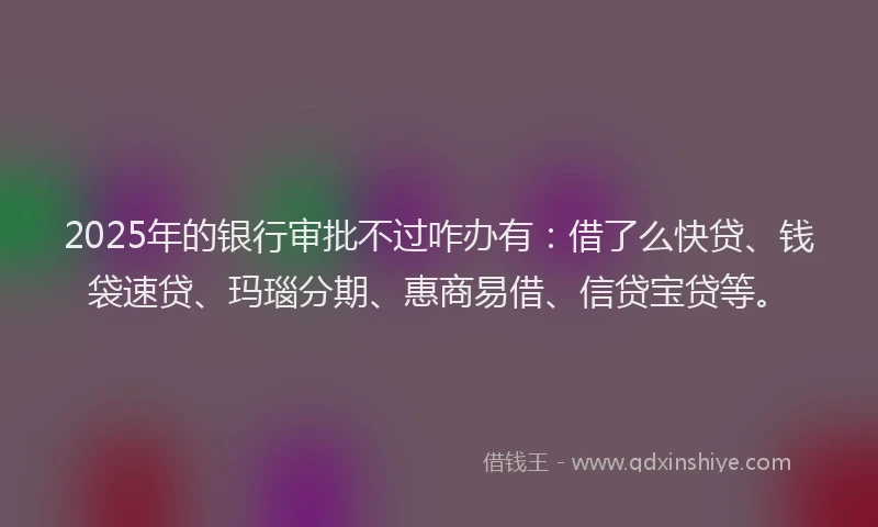 2025年的银行审批不过咋办有：借了么快贷、钱袋速贷、玛瑙分期、惠商易借、信贷宝贷等。