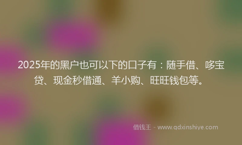 2025年的黑户也可以下的口子有：随手借、哆宝贷、现金秒借通、羊小购、旺旺钱包等。