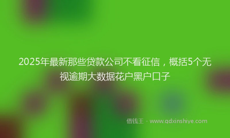 2025年最新那些贷款公司不看征信，概括5个无视逾期大数据花户黑户口子